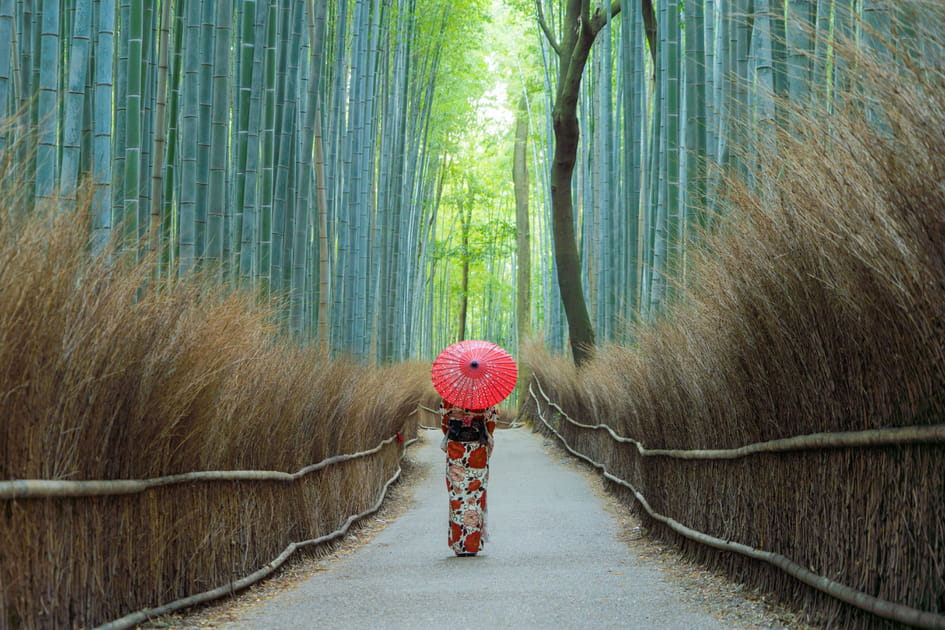 Se mettre au vert &agrave; Arashiyama