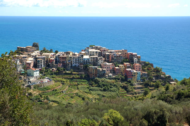 Les terasses de Corniglia