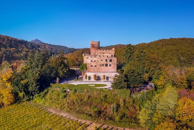 Kintzheim, le village alsacien où les aigles nichent dans un château fort