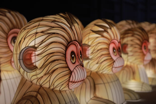 Les Festival des Lanternes met à l'honneur le Japon au Jardin d'Acclimatation de Paris