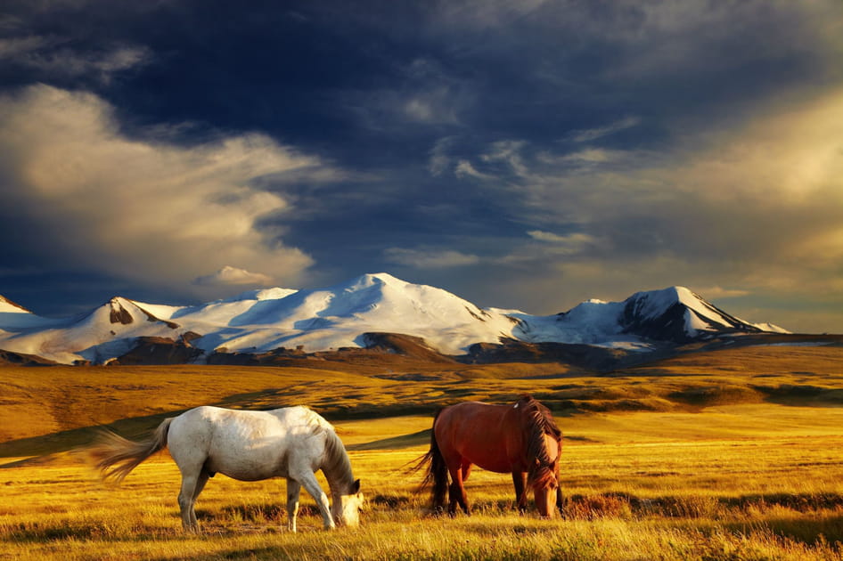 Montagnes dor&eacute;es de l'Alta&iuml;, Russie