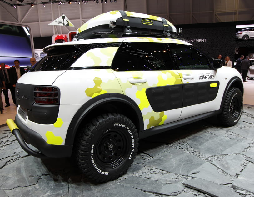 Citro&euml;n C4&nbsp;Cactus Aventure arri&egrave;re