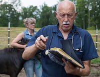 L'incroyable Dr Pol : Des taureaux en colère