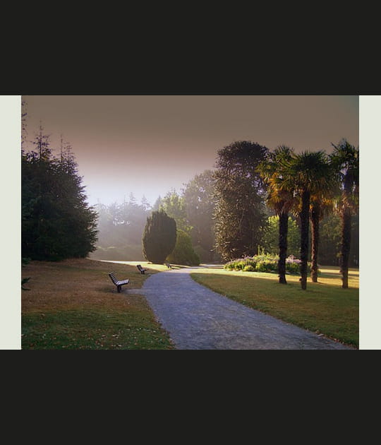 Matin brumeux