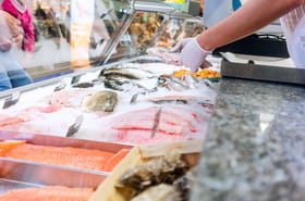 Ne mangez surtout pas ces poissons en vacances, ils peuvent vous intoxiquer