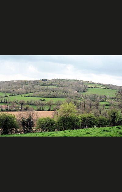 La route des marais normands