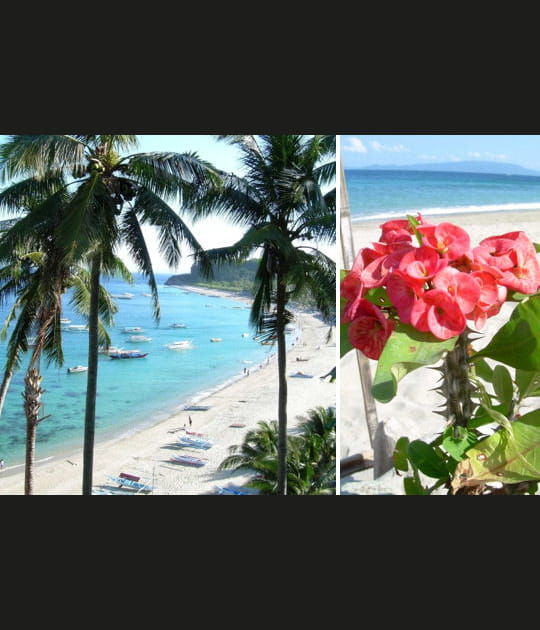 Baie de Puerto Galera aux Philippines