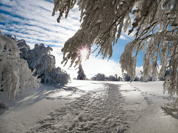 Les Vosges se métamorphosent en hiver