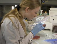 Microbiote : Les fabuleux pouvoirs du ventre