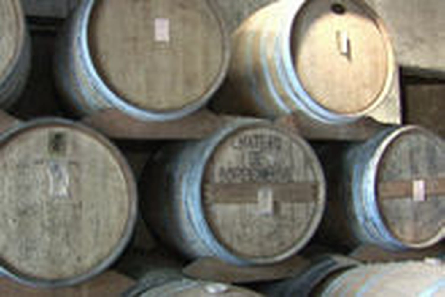 Reportage chez un producteur d'armagnac