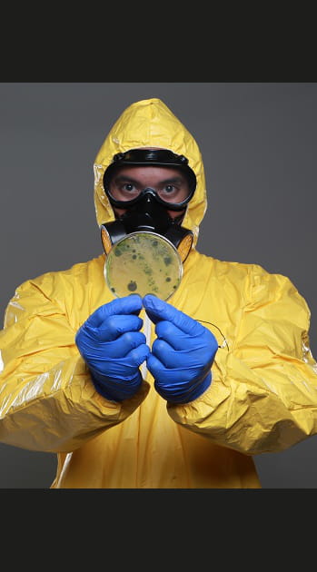 Faut-il craindre une &eacute;pid&eacute;mie Ebola en&nbsp;France&nbsp;?
