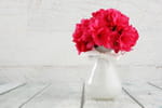 vase