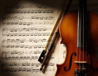 Fauteuils d'orchestre : Le concert