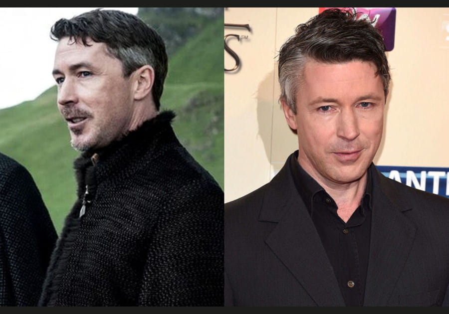 Aidan Gillen (Petyr Baelish)