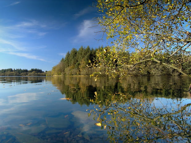 100 lieux incontournables de la Bretagne : la forêt de Quénécan