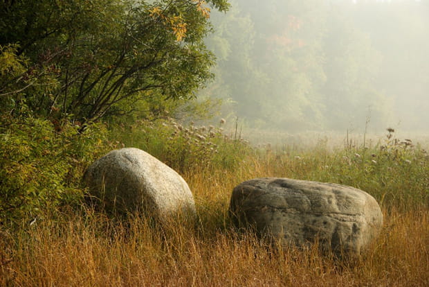 Deux rochers émergeant dans la brume