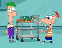 Phineas et Ferb : Opération abeilles