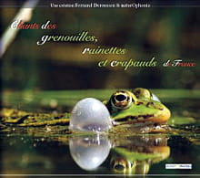 chants des grenouilles, rainettes et crapauds de france 