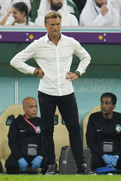 Herv&eacute; Renard&nbsp;: son salaire pour les Bleues qui interroge