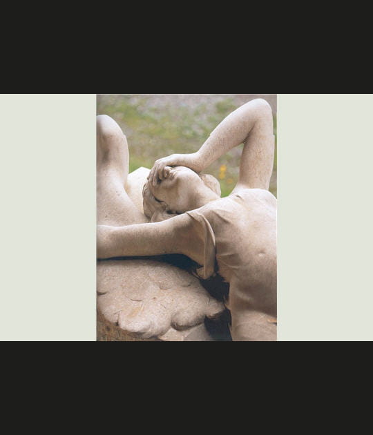 &Ocirc; ma douleur