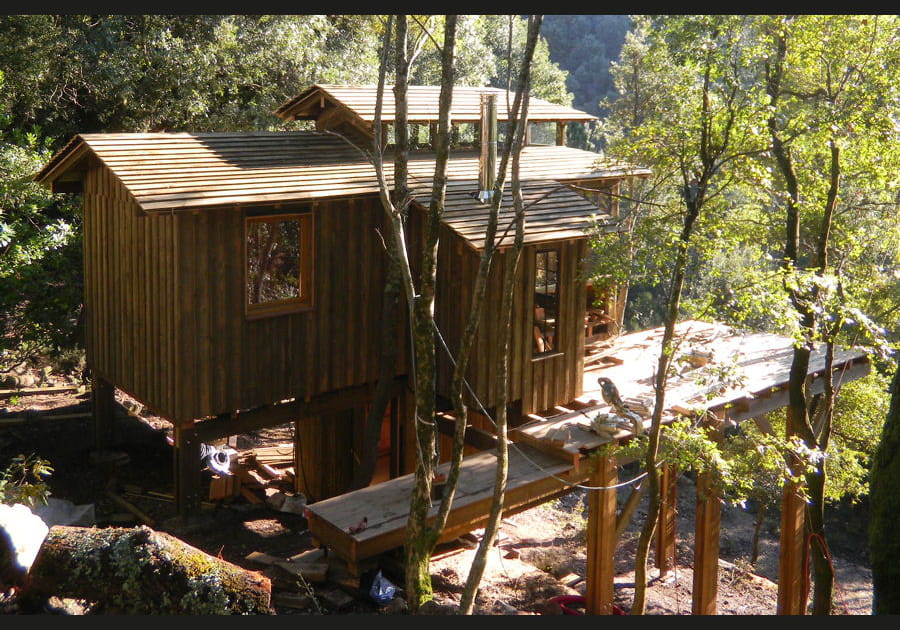 La cabane sur pilotis