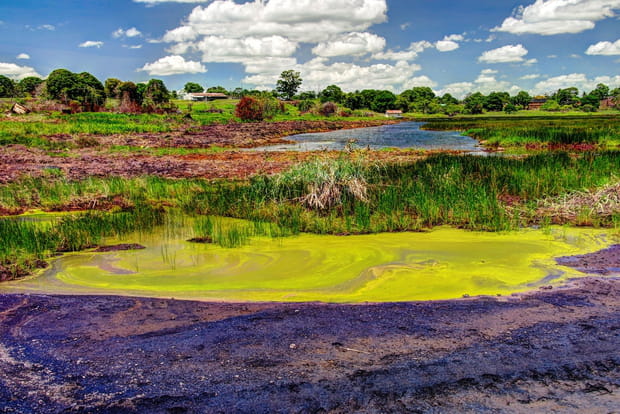 Le Pitch Lake à La Brea sur l’île de Trinidad