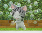 Chi mon chaton