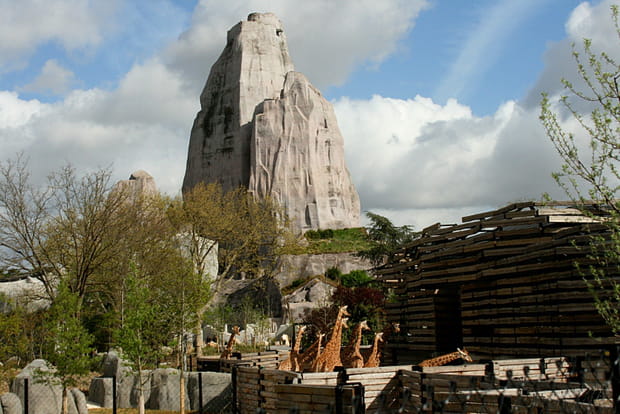 Petit tour des premiers locataires du Zoo de Vincennes