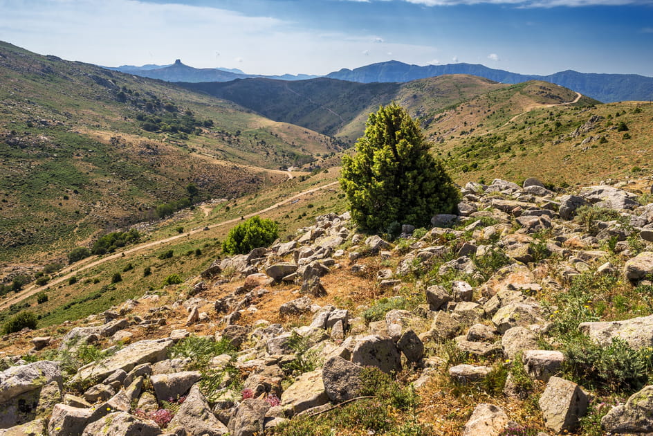Le parc national du Gennargentu