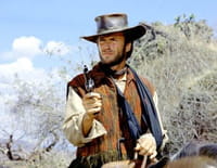Sierra torride