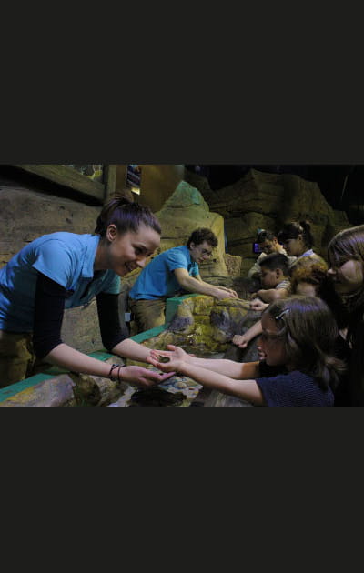 Dans les coulisses de l'aquarium Sea Life Paris