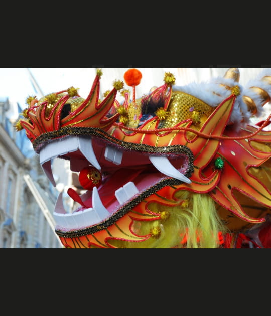 Dragon