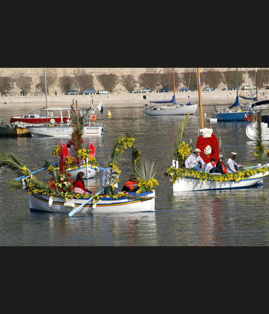 Corso naval fleuri
