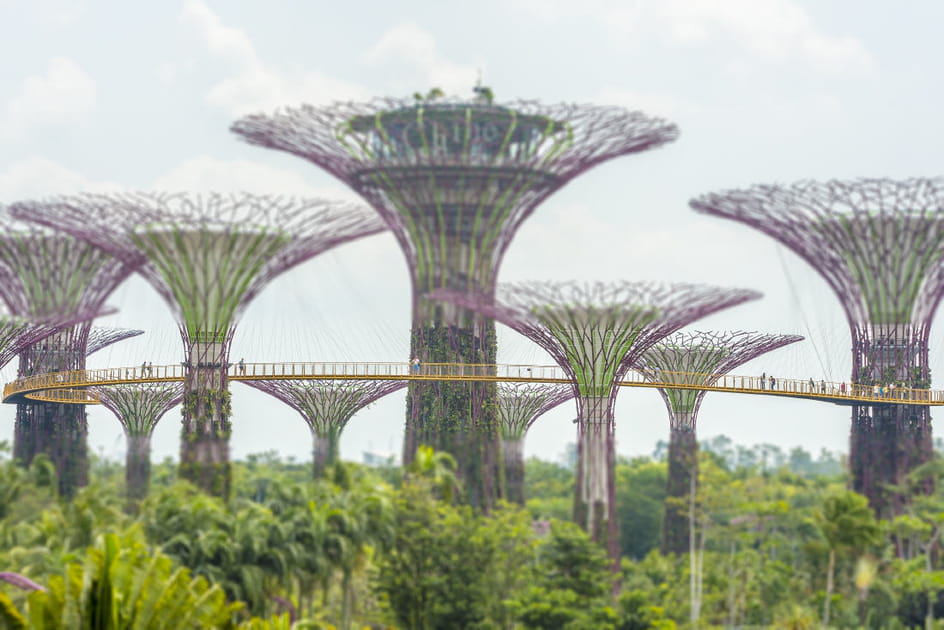 Les jardins de la baie de Singapour