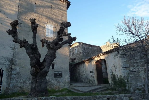 Le Musée du Désert