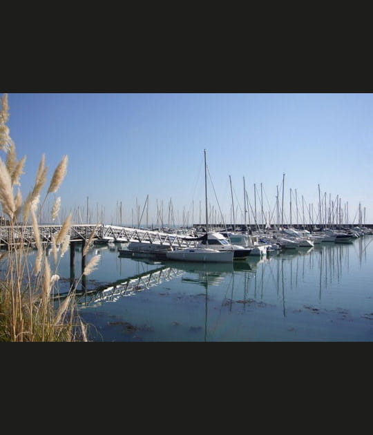 Le port de la No&euml;veillard