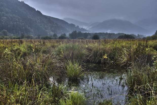 Les tourbières, trésors cachés de la montagne jurassienne