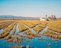 Deltas du monde : L'Ebre, le joyau vert