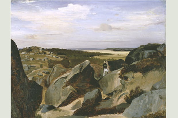 La forêt de Fontainebleau : un atelier grandeur nature