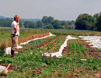Autrement (avec des légumes)