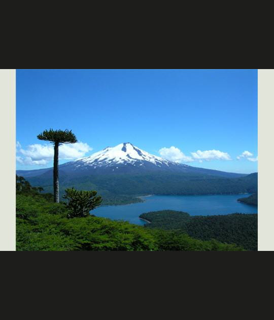 Volcan llaima