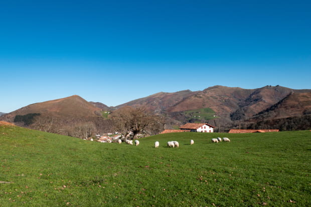 Saint-Martin-d'Arrossa, un havre de paix niché dans les montagnes basques