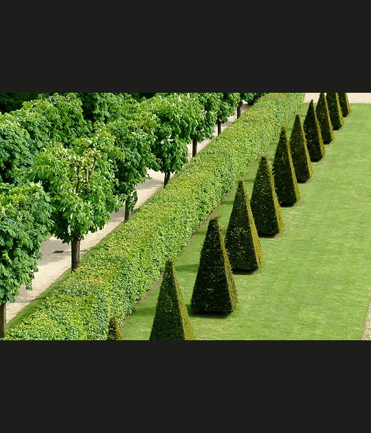 Jardins du Ch&acirc;teau de Meudon (Hauts-de-Seine)