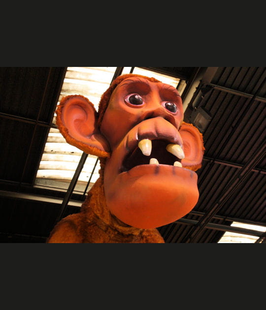 Un singe sur un corps de raton laveur