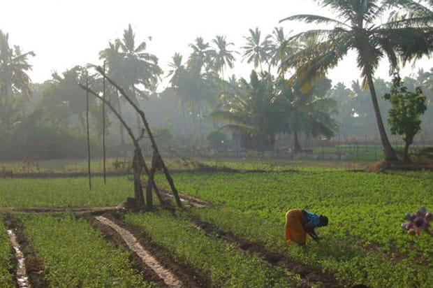 Voyage en terres fertiles