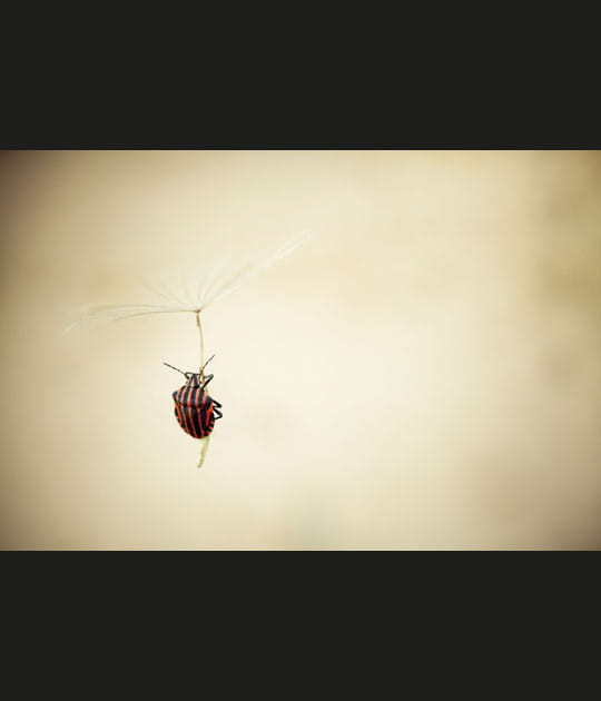 Laur&eacute;at n&deg;4&nbsp;: Alain Laboile