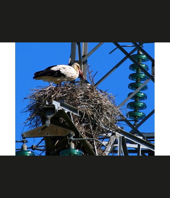 Cigogne 100&nbsp;000&nbsp;volts