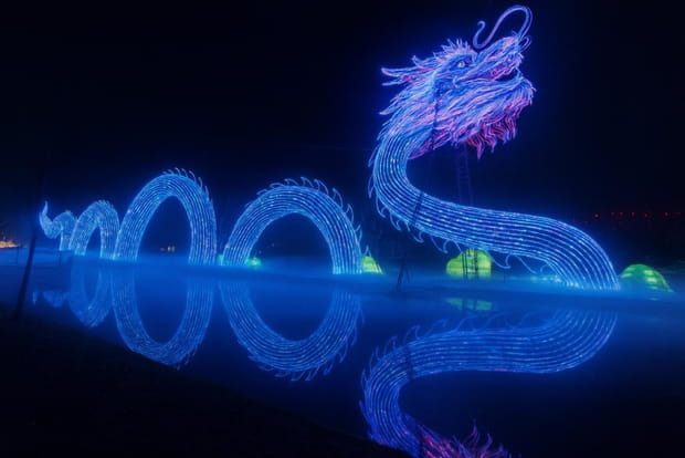 L'Odyssée Lumineuse transforme le Parc Floral de Paris en une jungle enchantée