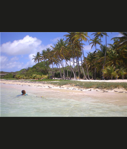 Pause baignade en Martinique