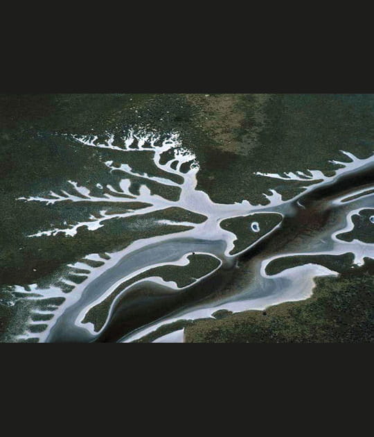 Les m&eacute;andres p&acirc;les du parc d'Etosha